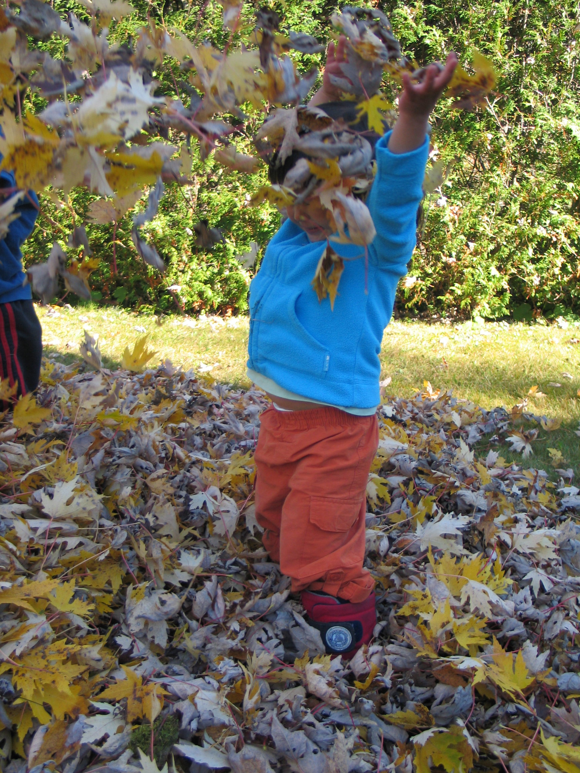 Child throwing leaves in the air.